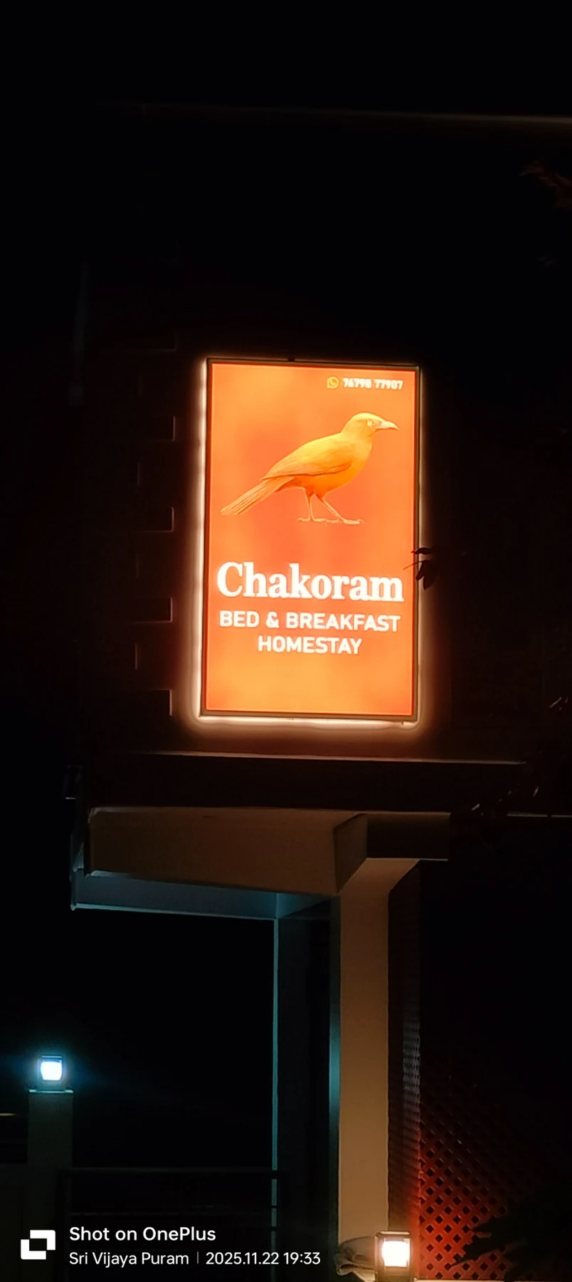 Night signboard close-up